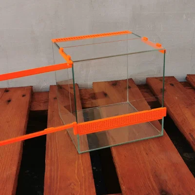 Terrarium – Nhà nhỏ cho nhện