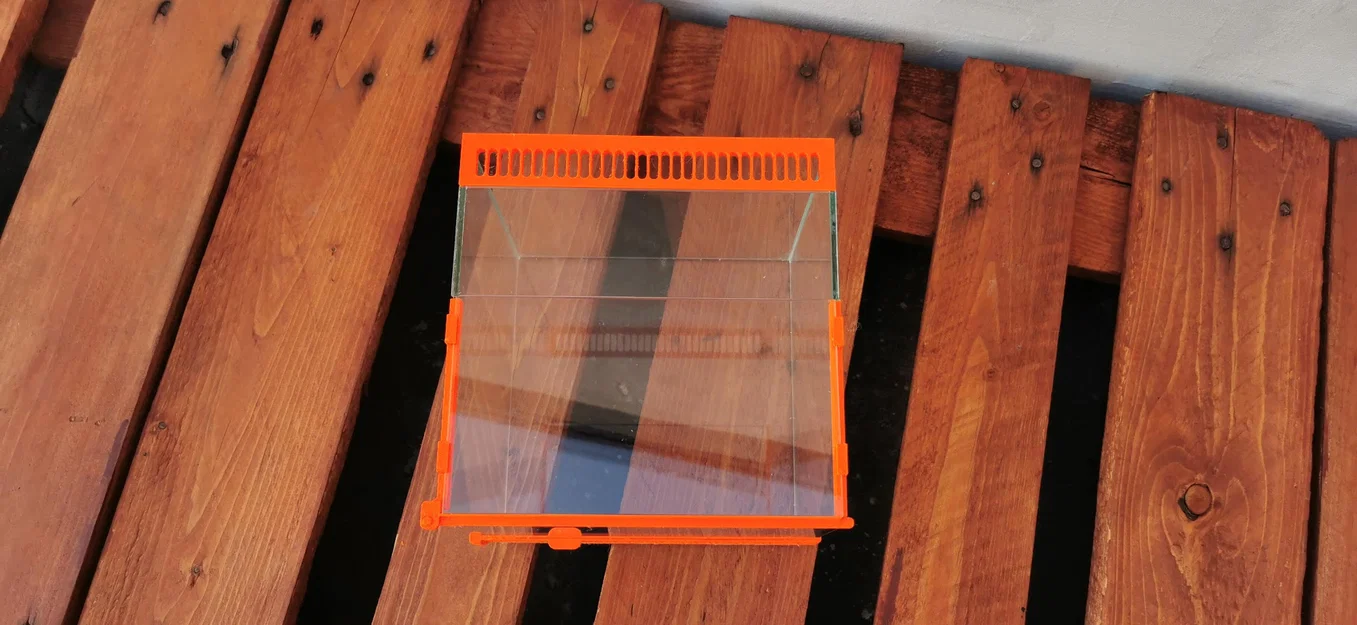 Terrarium – Nhà nhỏ cho nhện - Image 5