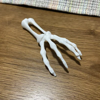 Mô hình bàn tay xương Skeleton Hand trang trí Halloween ấn tượng