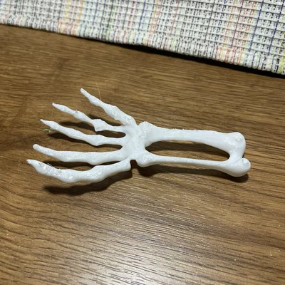 Mô hình bàn tay xương Skeleton Hand trang trí Halloween ấn tượng