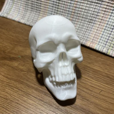 Mô hình đầu lâu 3D trang trí nghệ thuật độc đáo