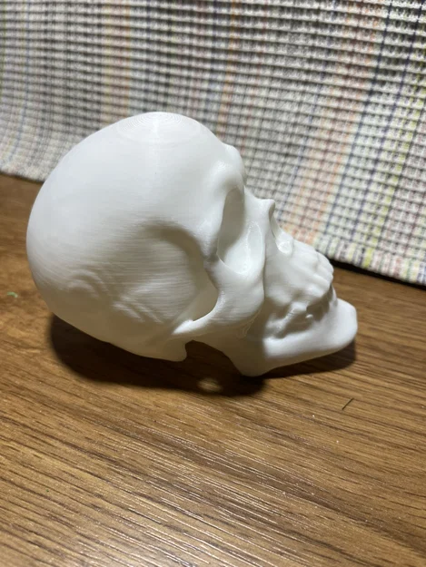 Mô hình đầu lâu 3D trang trí nghệ thuật độc đáo - Image 2