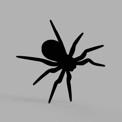 Mô hình con nhện 3D trang trí tường độc đáo cho lễ Halloween