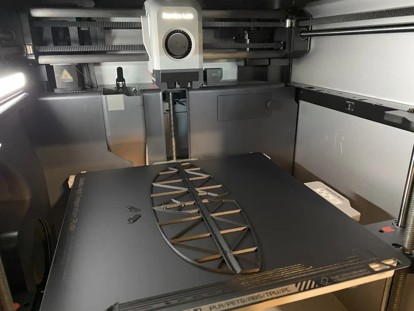 Carbon Bug – DLG in 3D (3D Printed DLG) - Image 5