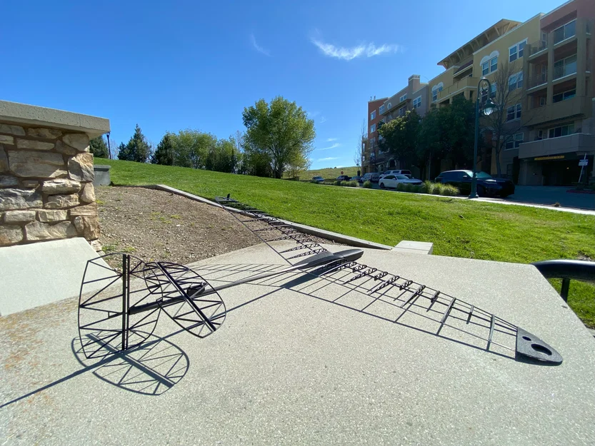 Carbon Bug – DLG in 3D (3D Printed DLG) - Image 8