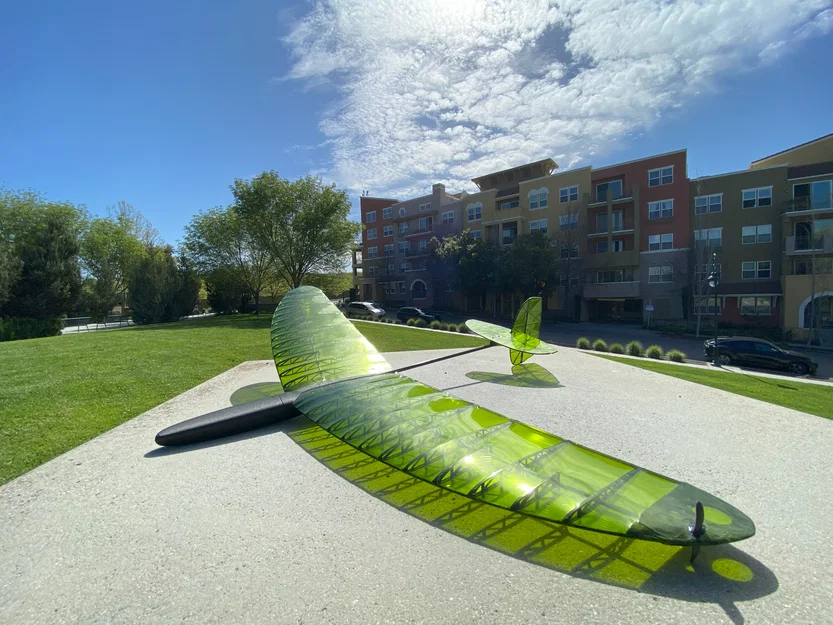 Carbon Bug – DLG in 3D (3D Printed DLG) - Image 9