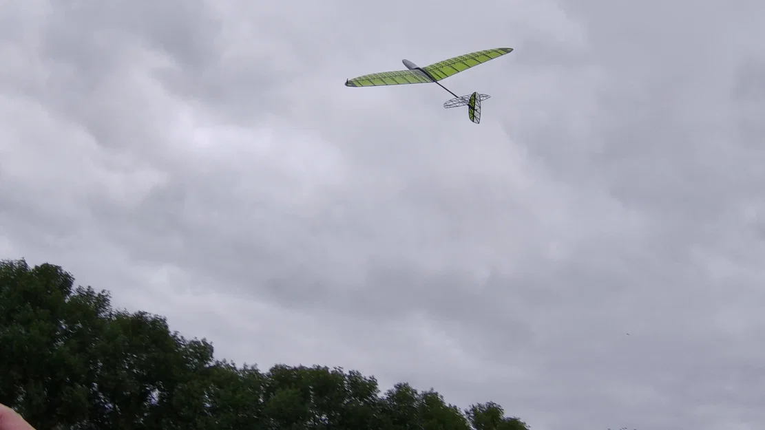 Carbon Bug – DLG in 3D (3D Printed DLG) - Image 10