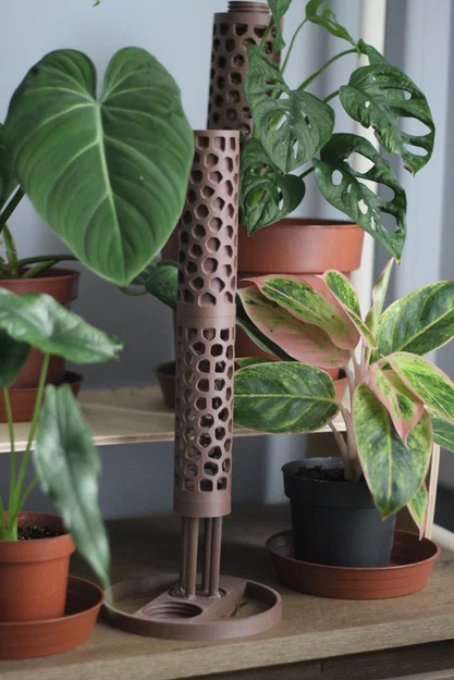 Trụ Rêu Voronoi (Voronoi Moss Pole) - Image 1