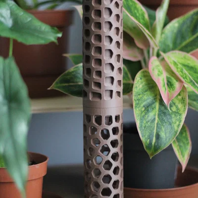 Trụ Rêu Voronoi (Voronoi Moss Pole)