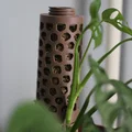 Trụ Rêu Voronoi (Voronoi Moss Pole) - Thumbnail 5