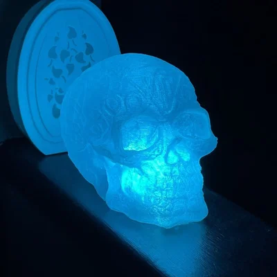 Light-up RGB Celtic Skull