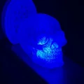 Light-up RGB Celtic Skull - Thumbnail 7
