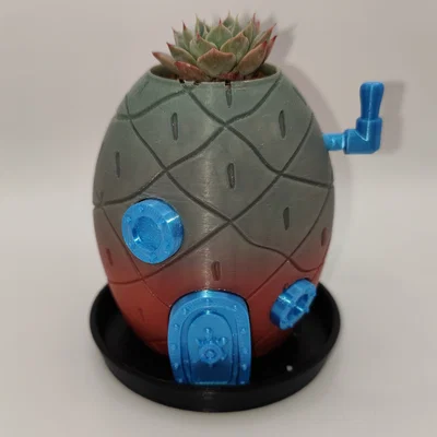 Khay hứng nước cho chậu nhà dứa Spongebob