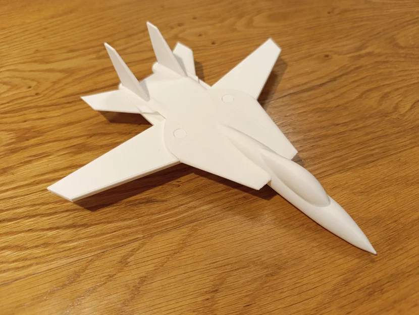 Mô hình máy bay F-14 Tomcat (cánh swept) - Image 1