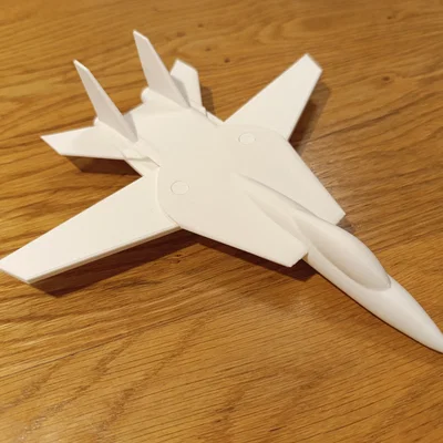 Mô hình máy bay F-14 Tomcat (cánh swept)