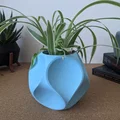 Chậu cây hình Dodecahedron (Geometric Planter) - Thumbnail 1
