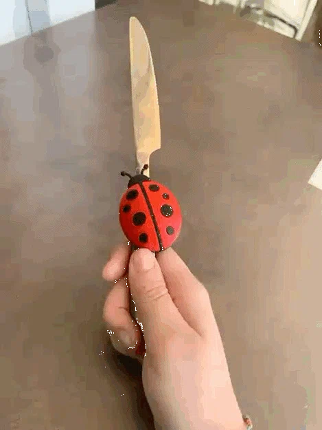 Nam châm hình bọ rùa đáng yêu (Ladybug Magnet) - Tự in 3D trang trí - Image 1