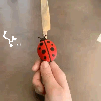 Nam châm hình bọ rùa đáng yêu (Ladybug Magnet) - Tự in 3D trang trí