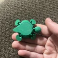 Mô hình rùa con linh hoạt (Cute turtle flexi) in 3D dễ thương - Thumbnail 2