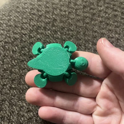 Mô hình rùa con linh hoạt (Cute turtle flexi) in 3D dễ thương
