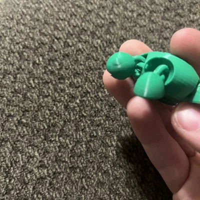 Mô hình rùa con linh hoạt (Cute turtle flexi) in 3D dễ thương