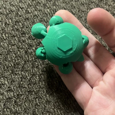 Mô hình rùa con linh hoạt (Cute turtle flexi) in 3D dễ thương