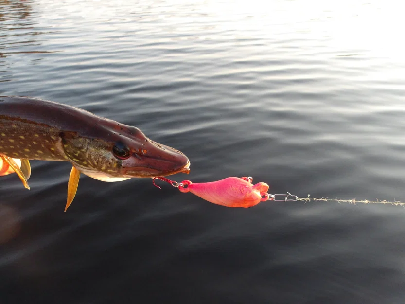 Mồi giả câu cá Crankbait 3D - Thiết kế bền chắc, hiệu quả cao - Image 1