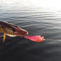 Mồi giả câu cá Crankbait 3D - Thiết kế bền chắc, hiệu quả cao - Thumbnail 1