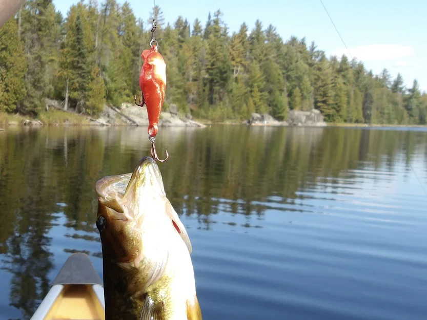 Mồi giả câu cá Crankbait 3D - Thiết kế bền chắc, hiệu quả cao - Image 2