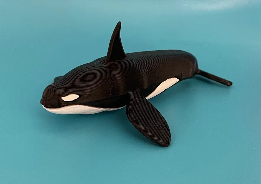 Mô hình Cá Vực (Killer Whale) - In Dual Color với Single Extruder - Image 1