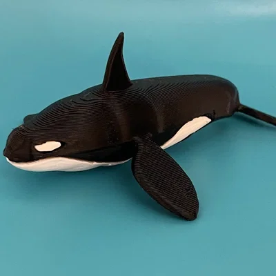 Mô hình Cá Vực (Killer Whale) - In Dual Color với Single Extruder
