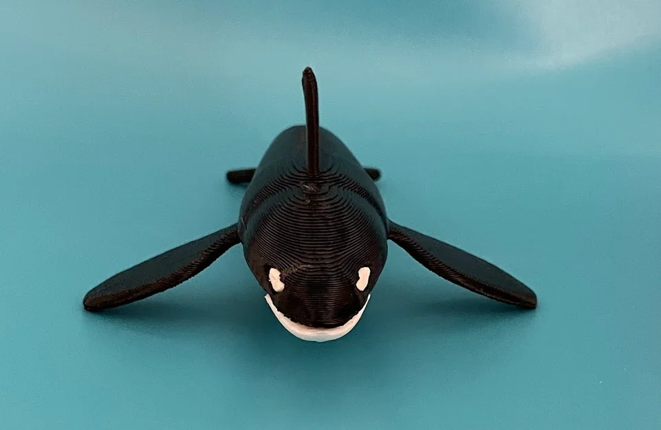 Mô hình Cá Vực (Killer Whale) - In Dual Color với Single Extruder - Image 2