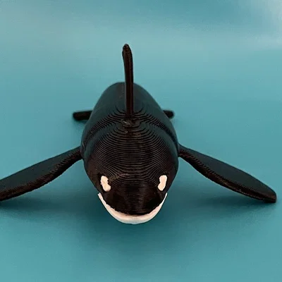 Mô hình Cá Vực (Killer Whale) - In Dual Color với Single Extruder