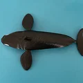 Mô hình Cá Vực (Killer Whale) - In Dual Color với Single Extruder - Thumbnail 3