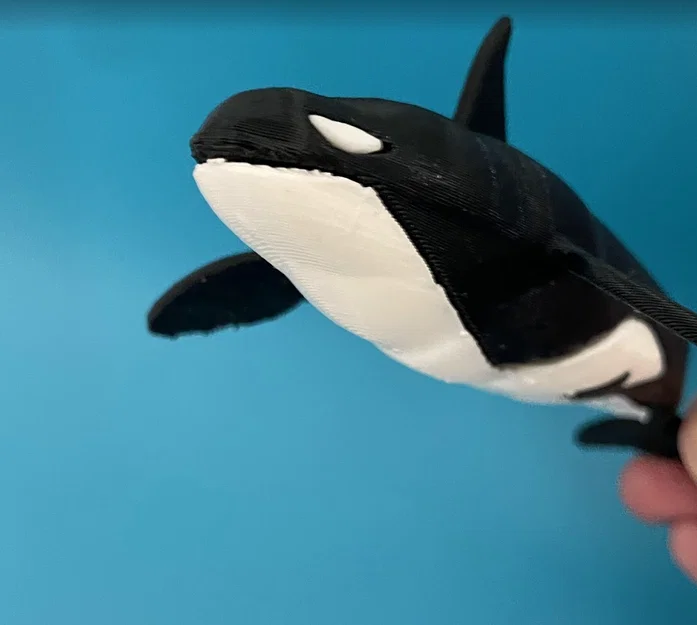 Mô hình Cá Vực (Killer Whale) - In Dual Color với Single Extruder - Image 4