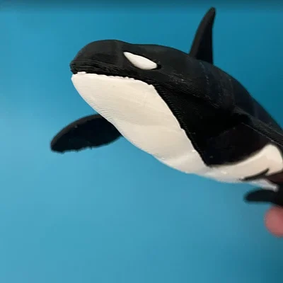 Mô hình Cá Vực (Killer Whale) - In Dual Color với Single Extruder