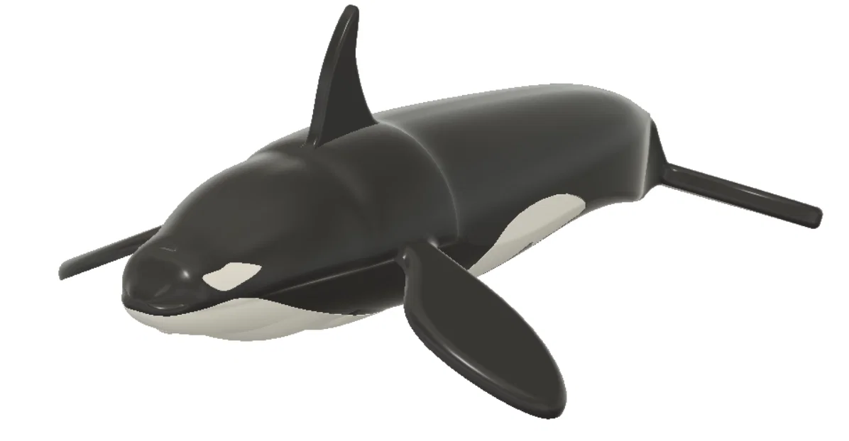 Mô hình Cá Vực (Killer Whale) - In Dual Color với Single Extruder - Image 5