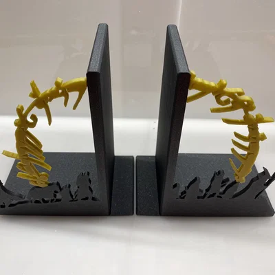 CHÚA TỂ NHỮNG CHIẾC NHẪN - Bộ Chặn Sách (LOTR)