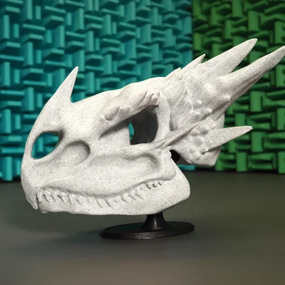 Kệ Đỡ Hộp Sọ Rồng (Dragon Skull Stand)