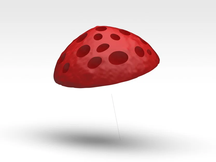 Nấm 2 màu – Fungo doppio colore - Image 3