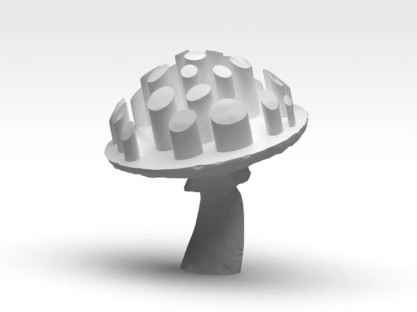 Nấm 2 màu – Fungo doppio colore - Image 4