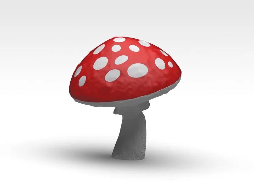 Nấm 2 màu – Fungo doppio colore - Image 5