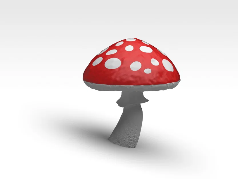 Nấm 2 màu – Fungo doppio colore - Image 6