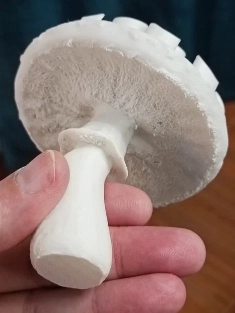 Nấm 2 màu – Fungo doppio colore - Image 9