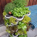 WuuYA Tree - Khuôn cho chậu trồng cây đứng (vertical planters) - Thumbnail 1