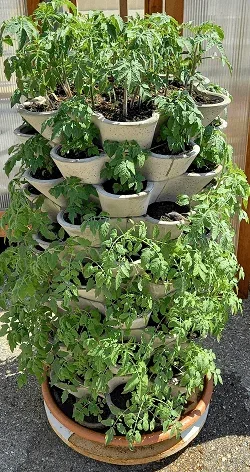 WuuYA Tree - Khuôn cho chậu trồng cây đứng (vertical planters) - Image 4