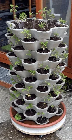 WuuYA Tree - Khuôn cho chậu trồng cây đứng (vertical planters) - Image 6