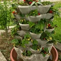WuuYA Tree - Khuôn cho chậu trồng cây đứng (vertical planters) - Thumbnail 8