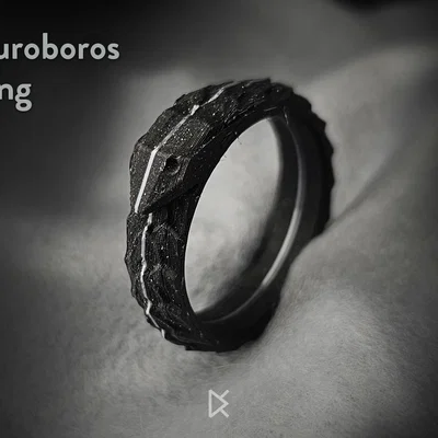 Nhẫn Ouroboros (Ouroboros Ring)