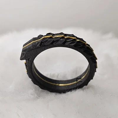 Nhẫn Ouroboros (Ouroboros Ring)